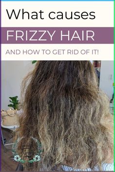 Find out the best tips for frizzy hair! Learn what causes frizzy hair and the best products to use to get rid of frizzy frizzy hair and achieve shiny, glossy hair without weighing it down. The products used are organic, non toxic and not tested on animals! Find out more from Hair By Jammie, Jacksonville Hair Stylist. #frizzyhairremedies #frizzyhairtips Hair Products For Thick Frizzy Hair, How To Fix Dry Frizzy Damaged Hair, Dry Frizzy Curly Hair Remedies, Best Frizzy Hair Products, Fizzy Hair Products, Defrizz Hair Products, How To Style Dry Frizzy Hair, Tame Frizzy Wavy Hair, Short Hair Styles For Thick Frizzy Hair