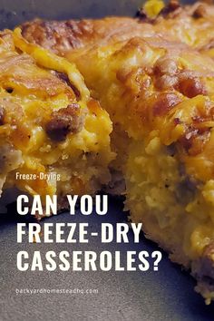 a close up of food on a plate with the words can you freeze - dry casseroles?