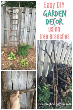 four different pictures with the words easy diy garden decor using tree branches