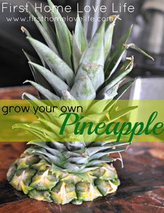 a pineapple sitting on top of a wooden table with the words grow your own pineapple