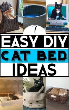 there are many different cat beds in this collage with text that says, easy diy cat bed ideas