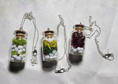 three glass jars filled with different types of plants and rocks on a silver plated chain