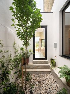 an entry way with stone steps leading up to the front door and trees in pots on either side