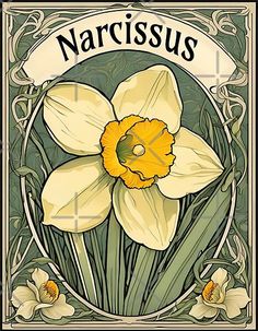 an image of narcissus with daffodils in the center and scroll around it