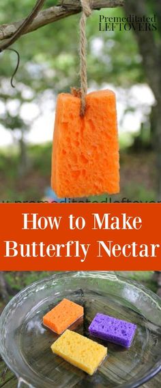 how to make butterfly nectar soap on a tree branch