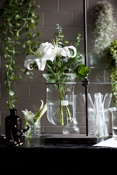 some white flowers are in a glass vase