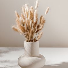 some dried plants in a white vase on a table