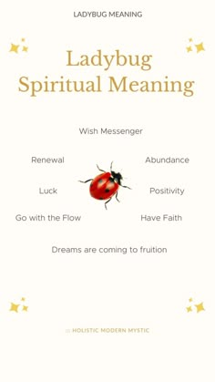 Ladybug Spiritual Meaning | Spiritual meaning, Spirituality, Meant to be Explore Tattoo Ideas, Spiritual Animal, Explore Tattoo, Animal Spirit Guides