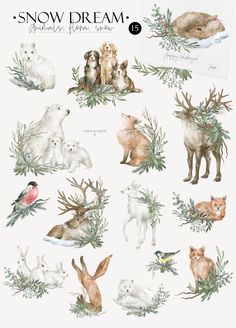 watercolor illustrations of animals and plants with the words snow dream written below each one