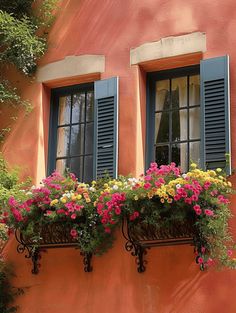 two windows with blue shutters and colorful flowers in the window boxes on an orange building