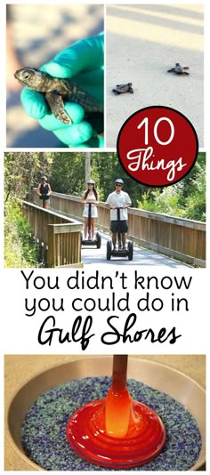 there are many different pictures with the words 10 things you didn't know you could do in gulf shores