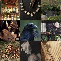 a collage of photos with various items and birds on them, including candles, books, an open book