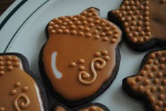 some cookies with chocolate icing on a plate