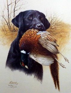 a painting of a dog holding a pheasant in its mouth