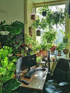 a home office with plants in the window sill and a computer on a desk