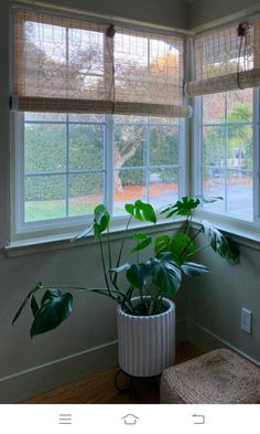 a potted plant sitting on top of a window sill next to a window