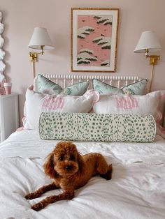 a brown dog laying on top of a bed next to two white lamps and pillows