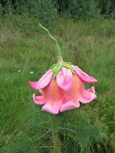 a pink flower sitting in the middle of a lush green field