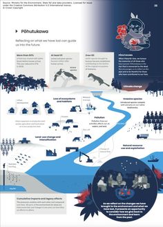 an info poster showing the different types of animals and their habitats in each country's environment