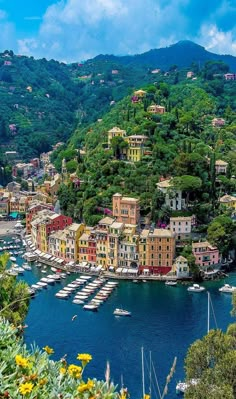 an aerial view of boats in the water and houses on top of a hill with trees