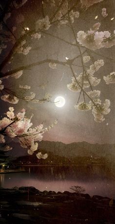 the full moon shines brightly in the night sky behind blossoming trees and water