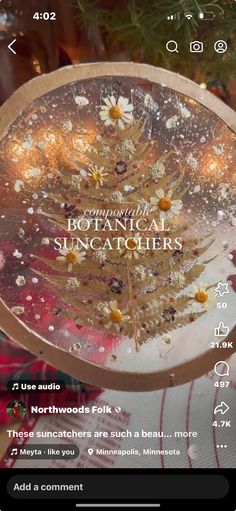 an image of a christmas tree on a plate with the words botanical suncatchers