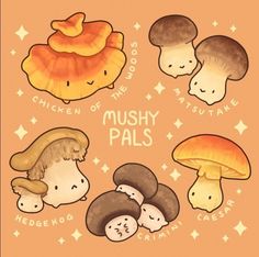 mushrooms with the words mushy pals written below them on an orange background