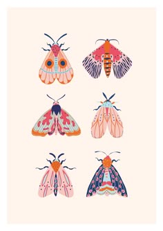 four moths in different colors and patterns on a light pink background, each with an insect's wings