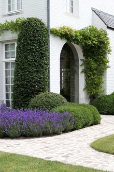 a white brick house with purple flowers in the front yard and green bushes on either side