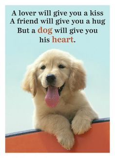 a dog is sitting on top of a wall with his tongue hanging out and the caption reads, a lover will give you a kiss