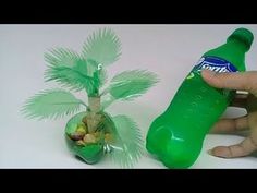 a hand holding a green bottle next to a small palm tree in a plastic container