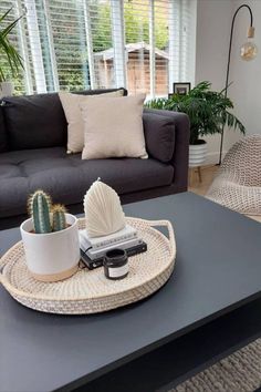 a living room with a couch, coffee table and cactus in the centerpieces