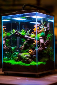 Discover the art of shrimp tank scaping with our innovative ideas that cater to both aesthetics and shrimp wellbeing. Learn which plants and decorations can enhance your shrimp's environment. For detailed setups and expert advice, head over to our latest blog post. Shrimp Tank Ideas, Shrimp Aquarium, Pet Shrimp, Aquarium Glass, Types Of Moss, Marimo Moss Ball, Tree Base