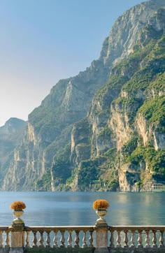 two vases with flowers are sitting on a railing overlooking the water and mountains in the background