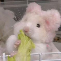 a stuffed animal holding a piece of lettuce