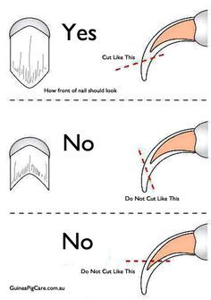 an iphone screen showing instructions for how to use nail tips