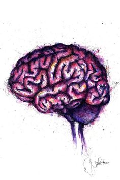 a drawing of a human brain on a white background with watercolors and ink