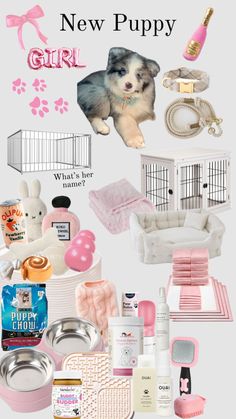 New Puppy Essentials from Amazon Puppy Must Haves, Puppy Girl, Puppy Room