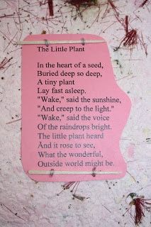 a poem written in pink on a white background with red and black writing that reads, the little plant