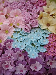 there are many different colored flowers on the table