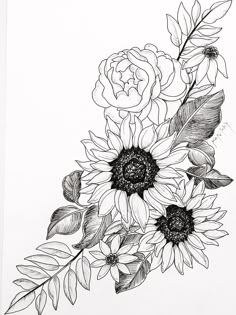 a black and white drawing of sunflowers with leaves