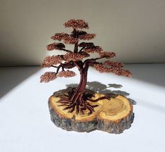 a small bonsai tree sitting on top of a piece of wood