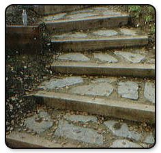 the steps are made of stone and have moss growing on them