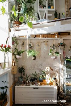 a room filled with lots of potted plants and hanging planters on the wall