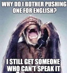 a monkey holding a phone up to its ear with the caption, why do i other pushing one for english? i still get someone who can't speak it