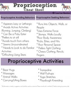 Proprioception cheat sheet Proprioceptive Activities, Proprioceptive Input, Sensory Disorder, Sensory Therapy, Sensory Motor, Occupational Therapy Activities, Sensory Diet, To Do List Printable, Pediatric Occupational Therapy