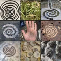 several different pictures with various types of rocks and plants in them, including spirals