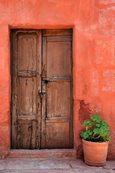 a potted plant sitting in front of a wooden door on a pink wall with two doors