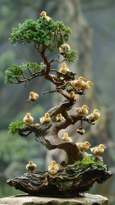 a bonsai tree with many little birds on it