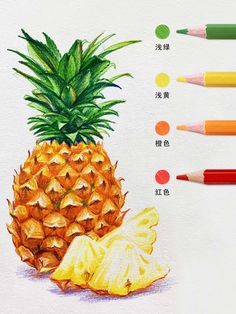 Pineapple By Acmeliae Media Advance Drawing, Kids Painting Ideas, Art Color Pencil, Pineapple Drawing, Pattern Making Tutorial, Colored Pencil Drawing Techniques, Pencil Drawing Techniques